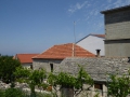 P1010347