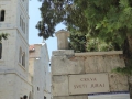 P1010349