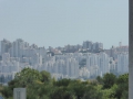 P1010387