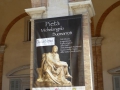 P1010646