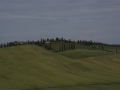 DSC_7435