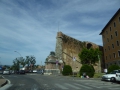 P1020335