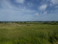 P1020337