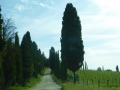 P1020366