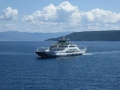 P1000534
