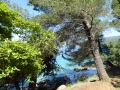 P1000684