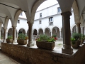 P1000810