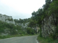 P1050635