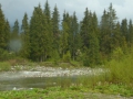 P1010289