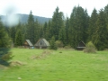 P1010294