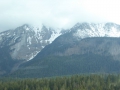 P1010318