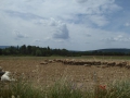 P1050222