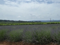 P1050227