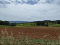 P1050252
