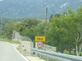 P1000876