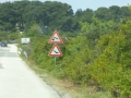 P1000908