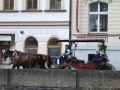 P1000284