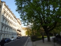 P1000291