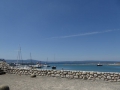 P1000976