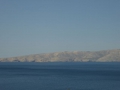 P1000993