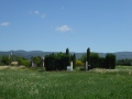 P1050132