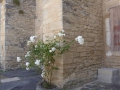 P1050148