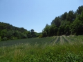 P1050069