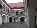 P1010505