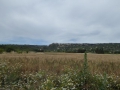 P1050281