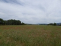 P1050324