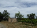 P1050325
