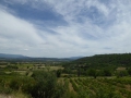 P1050346
