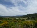 P1050349