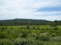 P1050358