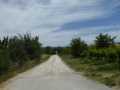 P1050363