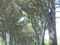 P1000374