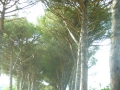 P1020398