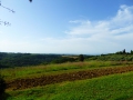 P1020407