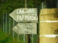 P1020437