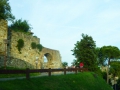 P1020446
