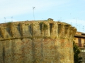 P1020447