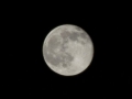 DSC_7021