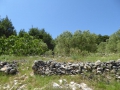 P1010172