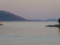 P1010266