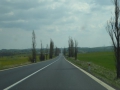 P1000377
