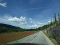 P1040926