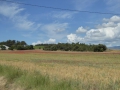P1040941