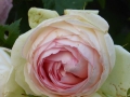 P1050048