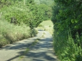 P1050067