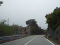 P1030493